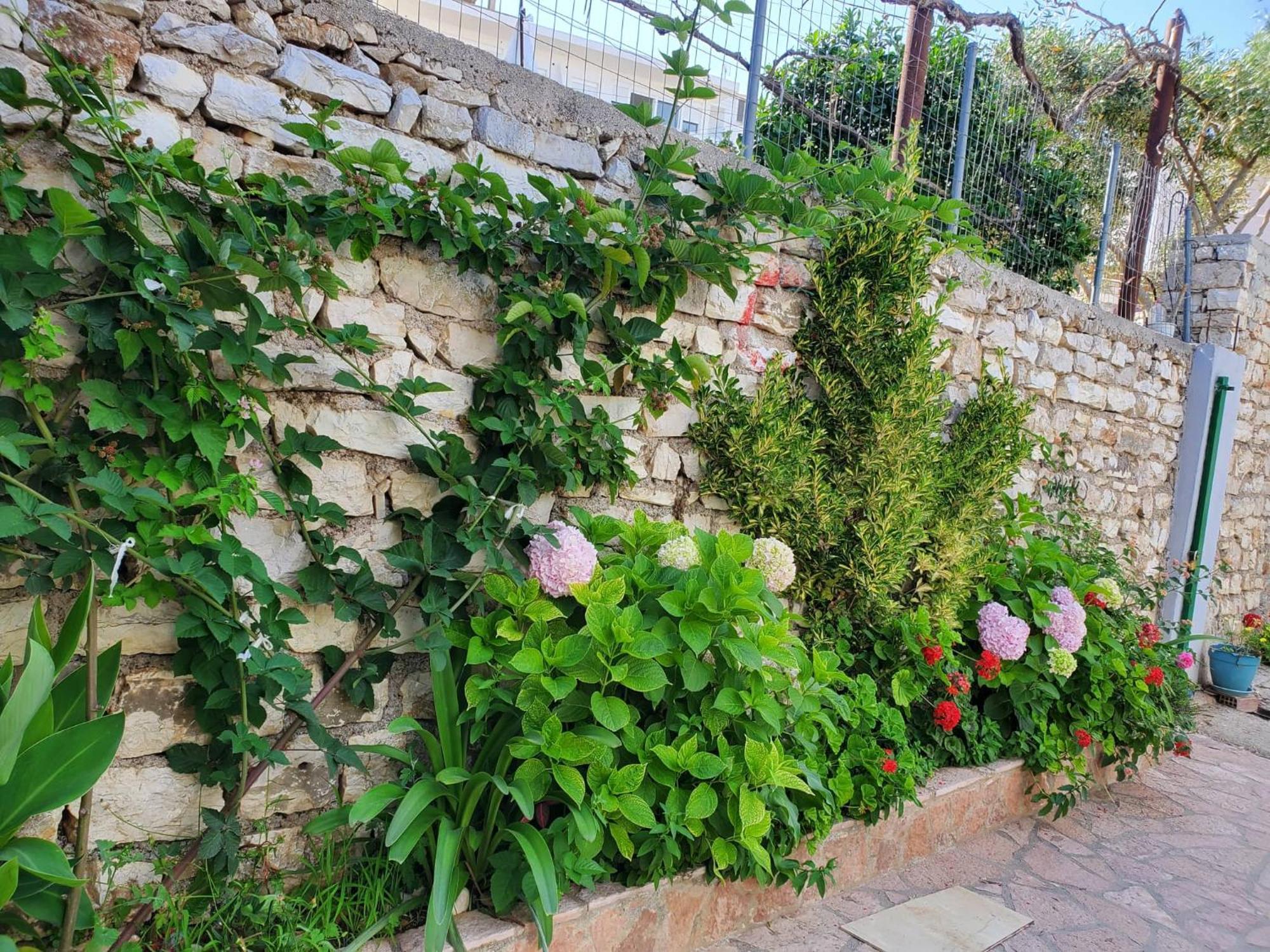 Guest House Sandri Sarandë Eksteriør billede